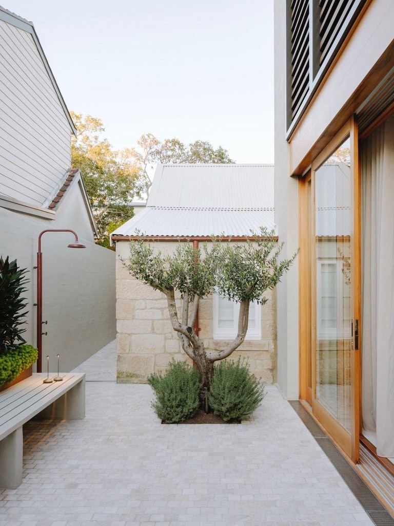 Courtyard — olive tree, outdoor shower, sandstone cottage